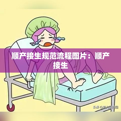 順產接生規(guī)范流程圖片：順產 接生 