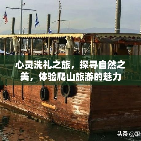 心靈洗禮之旅，探尋自然之美，體驗爬山旅游的魅力