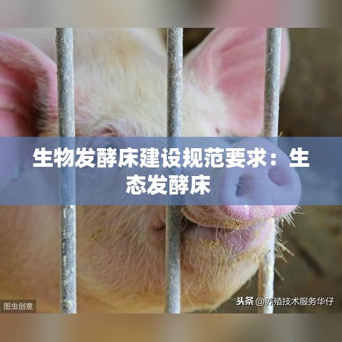 生物發(fā)酵床建設(shè)規(guī)范要求：生態(tài)發(fā)酵床 