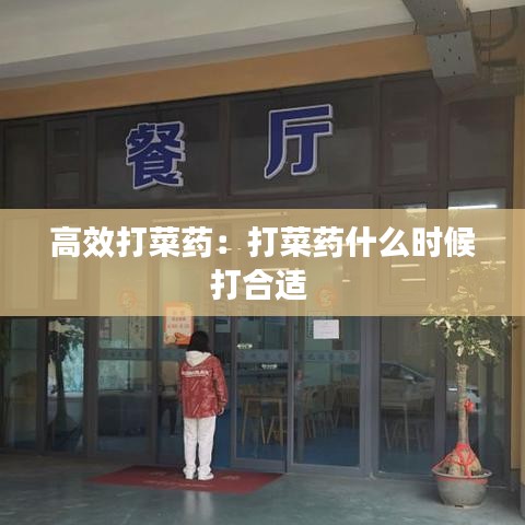 高效打菜藥：打菜藥什么時候打合適 