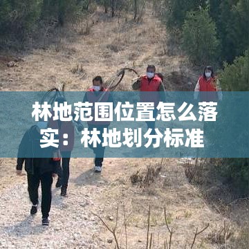 林地范圍位置怎么落實：林地劃分標準 