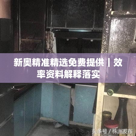 新奧精準(zhǔn)精選免費(fèi)提供｜效率資料解釋落實(shí)