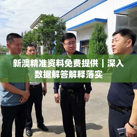 新澳精準(zhǔn)資料免費(fèi)提供｜深入數(shù)據(jù)解答解釋落實(shí)