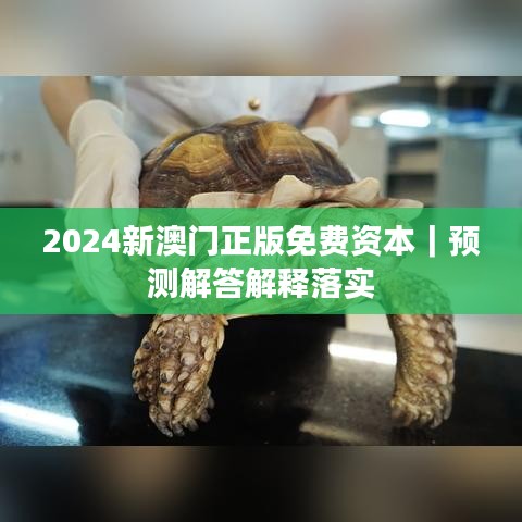 2024新澳門正版免費資本｜預(yù)測解答解釋落實