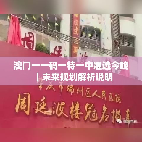 澳門一一碼一特一中準選今晚｜未來規(guī)劃解析說明