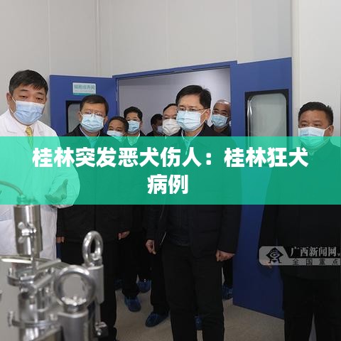 桂林突發(fā)惡犬傷人：桂林狂犬病例 