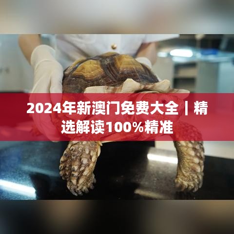 2024年新澳門免費(fèi)大全｜精選解讀100%精準(zhǔn)