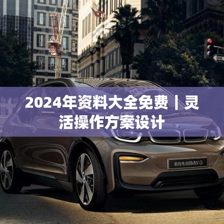 2024年資料大全免費(fèi)｜靈活操作方案設(shè)計(jì)