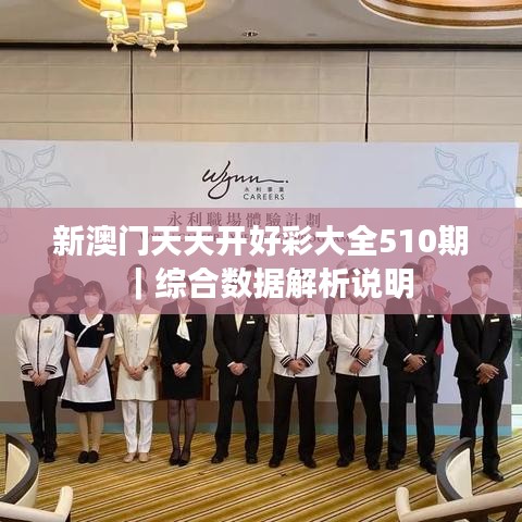 新澳門(mén)天天開(kāi)好彩大全510期｜綜合數(shù)據(jù)解析說(shuō)明