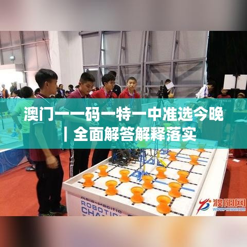 澳門一一碼一特一中準選今晚｜全面解答解釋落實