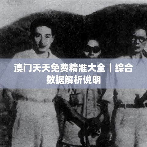 澳門(mén)天天免費(fèi)精準(zhǔn)大全｜綜合數(shù)據(jù)解析說(shuō)明