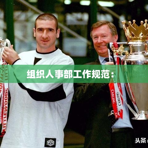 組織人事部工作規(guī)范： 