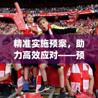 精準(zhǔn)實施預(yù)案，助力高效應(yīng)對——預(yù)案實施建議深度解讀