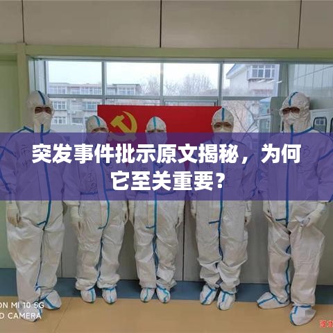 突發(fā)事件批示原文揭秘，為何它至關(guān)重要？