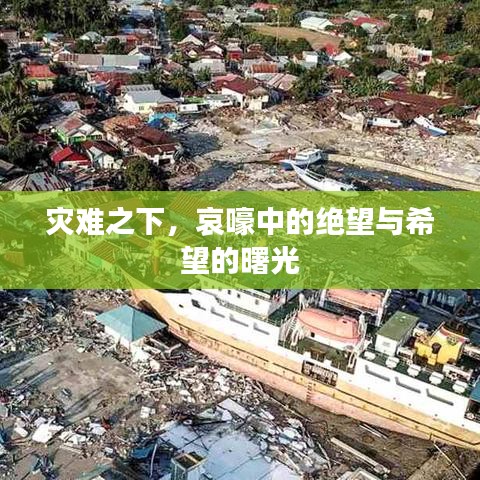 災(zāi)難之下，哀嚎中的絕望與希望的曙光