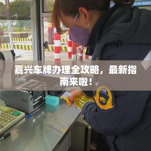 嘉興車牌辦理全攻略，最新指南來啦！