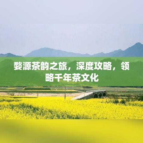 婺源茶韻之旅，深度攻略，領(lǐng)略千年茶文化