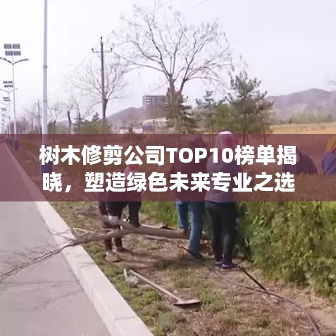 樹木修剪公司TOP10榜單揭曉，塑造綠色未來(lái)專業(yè)之選