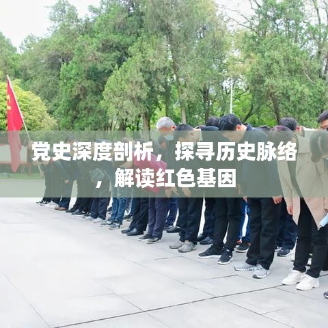 黨史深度剖析，探尋歷史脈絡(luò)，解讀紅色基因