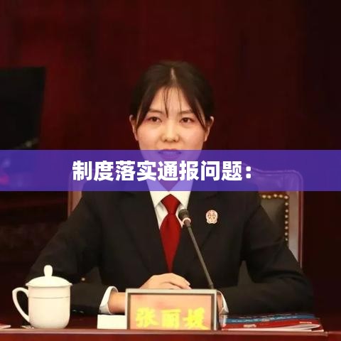 制度落實(shí)通報(bào)問(wèn)題： 