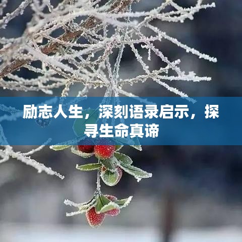 勵志人生，深刻語錄啟示，探尋生命真諦