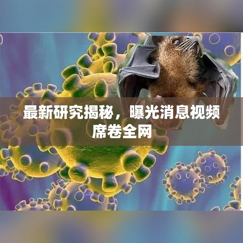 最新研究揭秘，曝光消息視頻席卷全網(wǎng)
