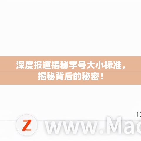 深度報道揭秘字號大小標準，揭秘背后的秘密！