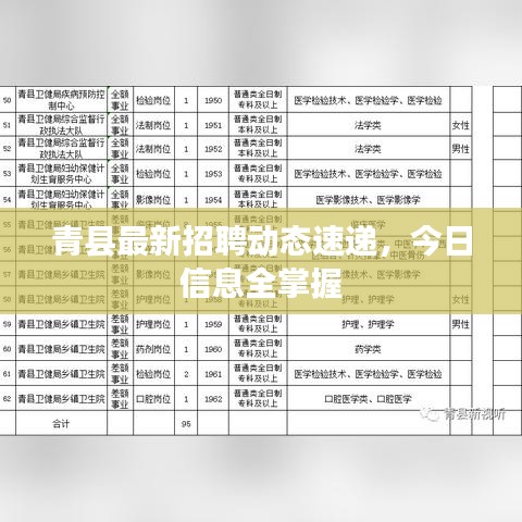 青縣最新招聘動(dòng)態(tài)速遞，今日信息全掌握
