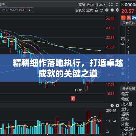 精耕細(xì)作落地執(zhí)行，打造卓越成就的關(guān)鍵之道