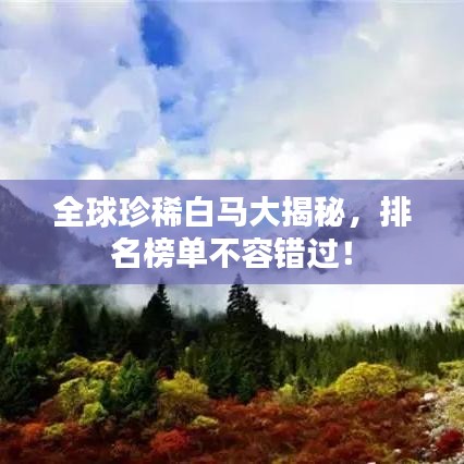 全球珍稀白馬大揭秘，排名榜單不容錯過！