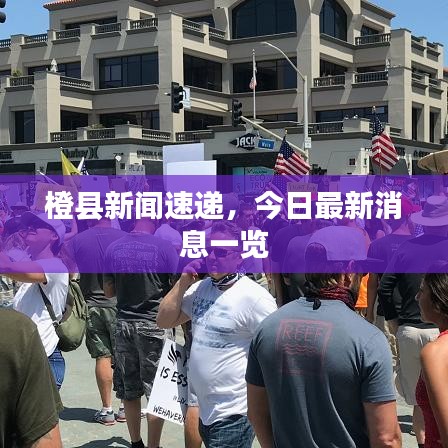 橙縣新聞速遞，今日最新消息一覽