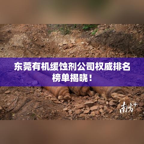 公司簡(jiǎn)介 第228頁(yè)