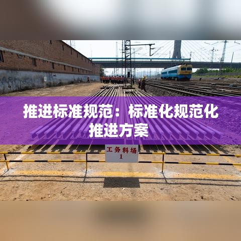 推進標準規(guī)范：標準化規(guī)范化推進方案 