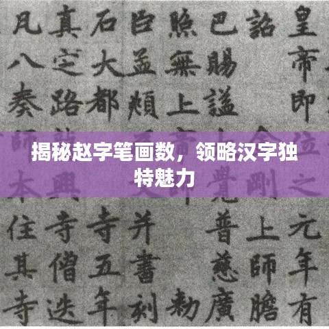 揭秘趙字筆畫(huà)數(shù)，領(lǐng)略漢字獨(dú)特魅力