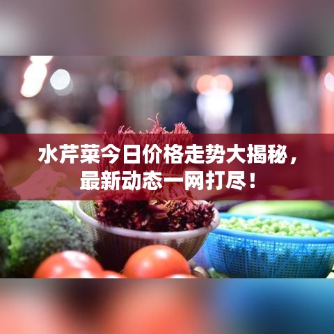 水芹菜今日價格走勢大揭秘，最新動態(tài)一網(wǎng)打盡！