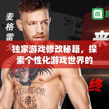 獨(dú)家游戲修改秘籍，探索個(gè)性化游戲世界的無限奧秘