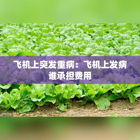飛機(jī)上突發(fā)重?。猴w機(jī)上發(fā)病 誰(shuí)承擔(dān)費(fèi)用 