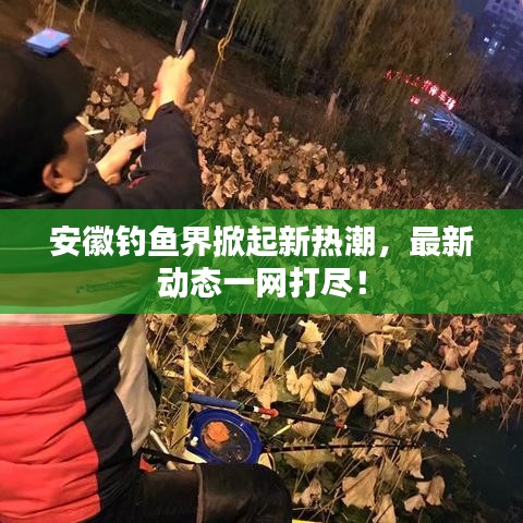 安徽釣魚界掀起新熱潮，最新動態(tài)一網(wǎng)打盡！