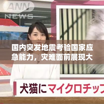 國(guó)內(nèi)突發(fā)地震考驗(yàn)國(guó)家應(yīng)急能力，災(zāi)難面前展現(xiàn)大國(guó)擔(dān)當(dāng)
