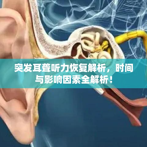 突發(fā)耳聾聽力恢復解析，時間與影響因素全解析！