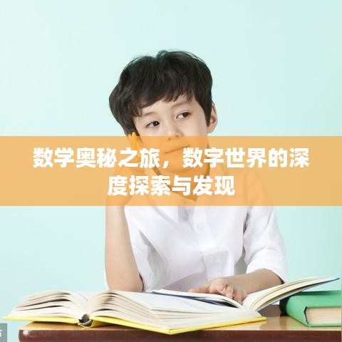 數(shù)學奧秘之旅，數(shù)字世界的深度探索與發(fā)現(xiàn)