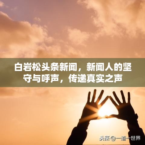 白巖松頭條新聞，新聞人的堅(jiān)守與呼聲，傳遞真實(shí)之聲