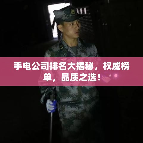 手電公司排名大揭秘，權(quán)威榜單，品質(zhì)之選！