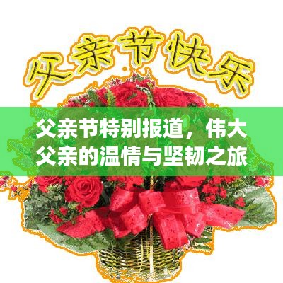 父親節(jié)特別報道，偉大父親的溫情與堅韌之旅