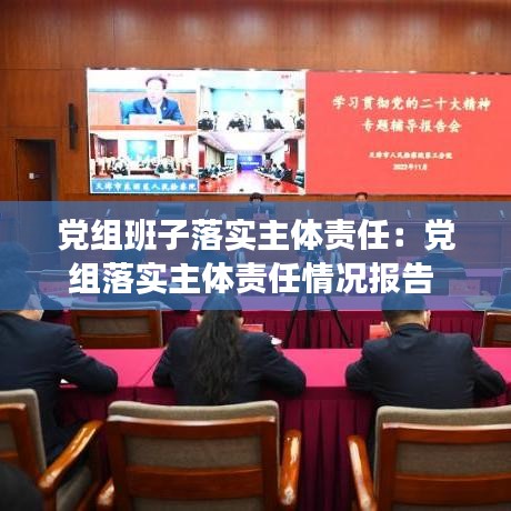 黨組班子落實主體責(zé)任：黨組落實主體責(zé)任情況報告 