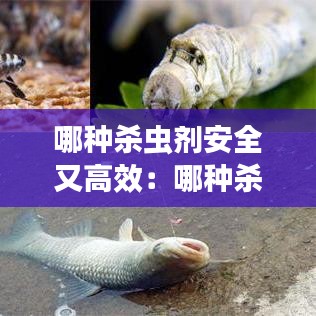 哪種殺蟲劑安全又高效：哪種殺蟲劑比較好用 