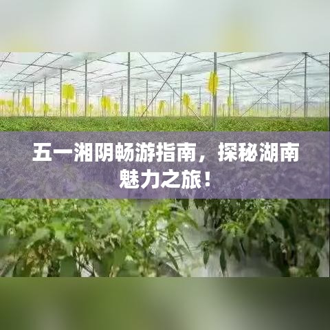 五一湘陰暢游指南，探秘湖南魅力之旅！