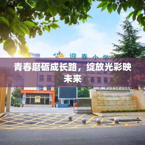 青春磨礪成長路，綻放光彩映未來