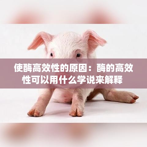 使酶高效性的原因：酶的高效性可以用什么學(xué)說(shuō)來(lái)解釋 