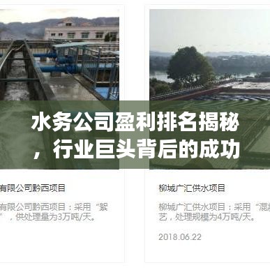 水務(wù)公司盈利排名揭秘，行業(yè)巨頭背后的成功秘訣大揭秘！